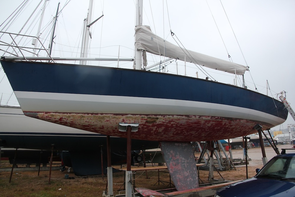 Zest Profile out of water IMG_3915 medium res copy