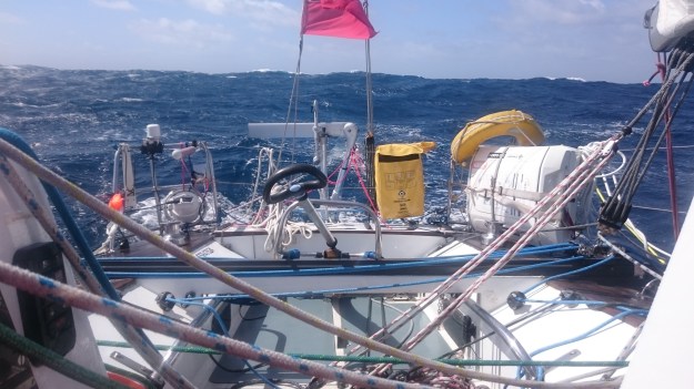 Zest lying to her drogue